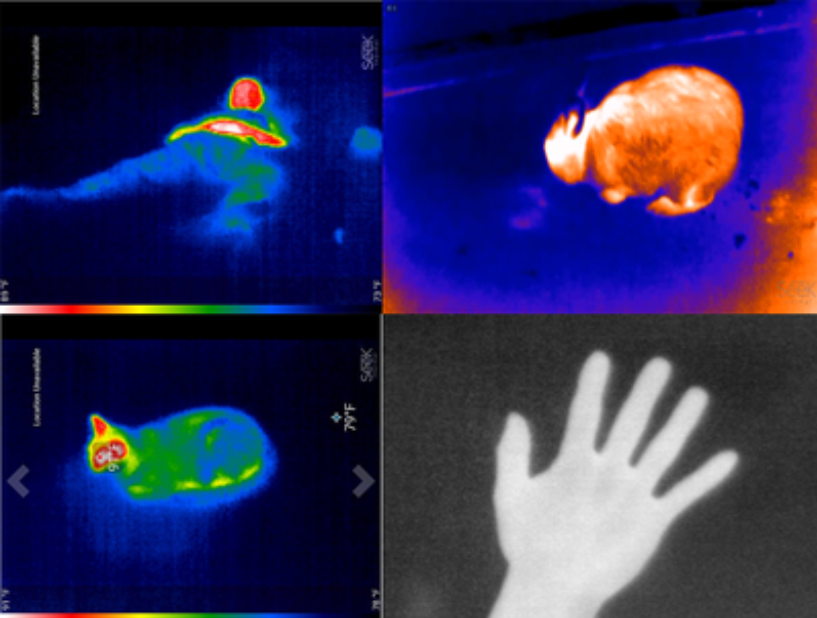 Thermal Response Time and Factors Affecting Thermal Imaging Cameras